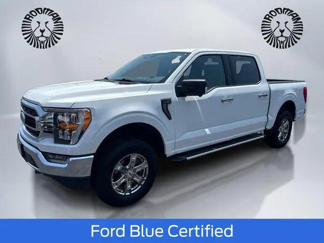 2022 Ford F-150 XLT for sale in Foxboro, MA