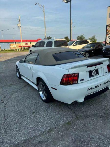 1999 Ford Mustang Cobra