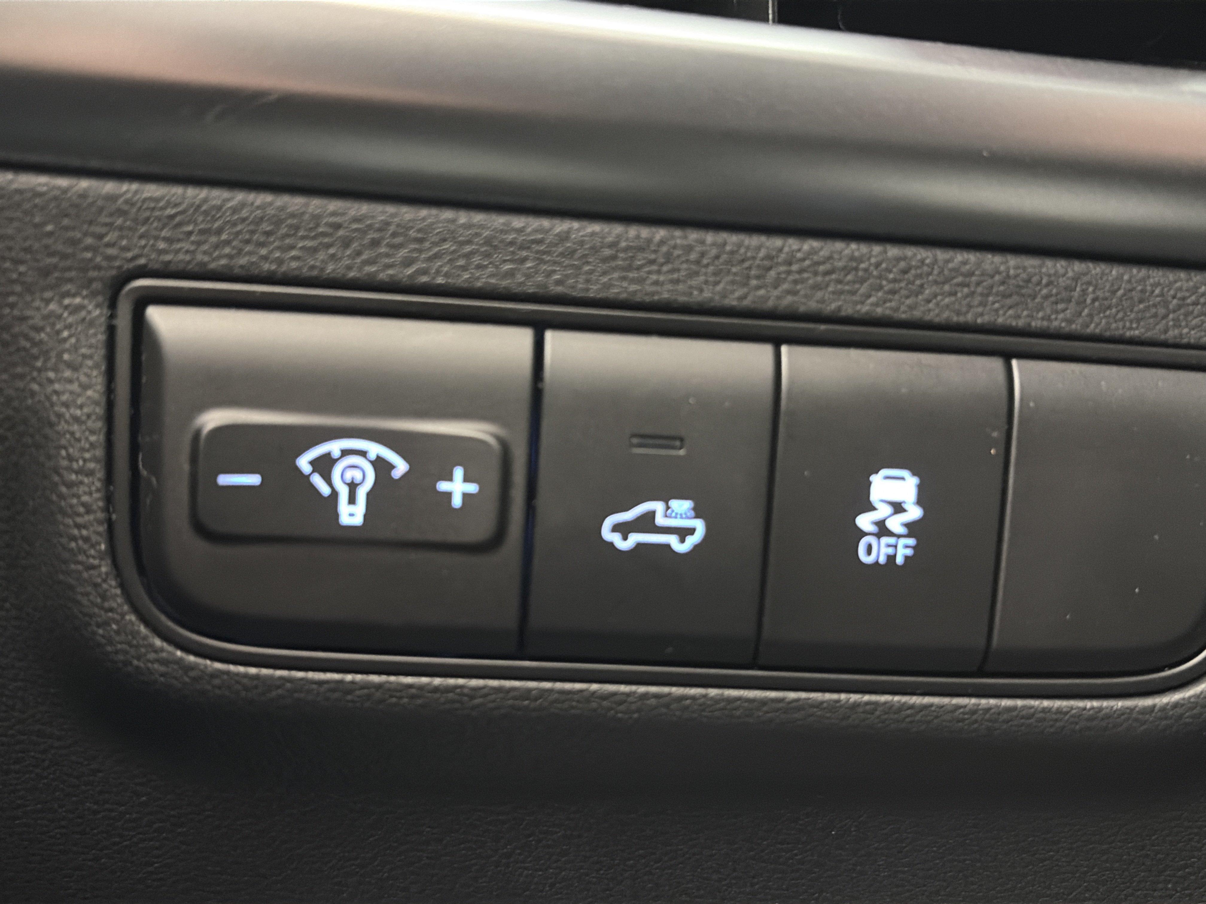 2025 Hyundai Santa Fe Limited - Photo 42