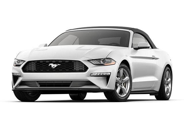 2019 Ford Mustang EcoBoost Premium for sale in East Ellijay, GA