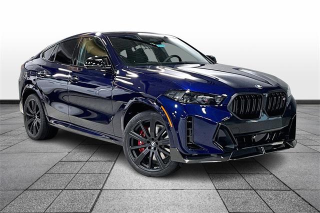 2025 BMW X6