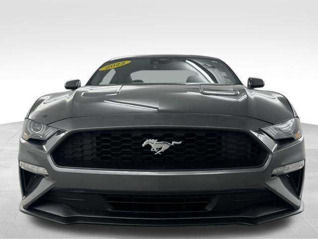 2022 Ford Mustang EcoBoost Fastback