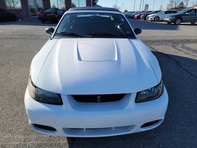 1999 Ford Mustang Cobra