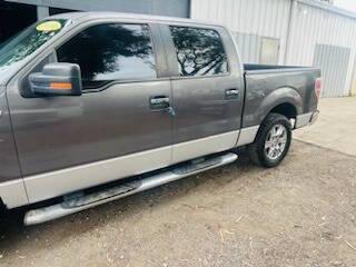 2010 Ford F-150 XLT 4x2 4dr SuperCrew Styleside 6.5 ft. SB