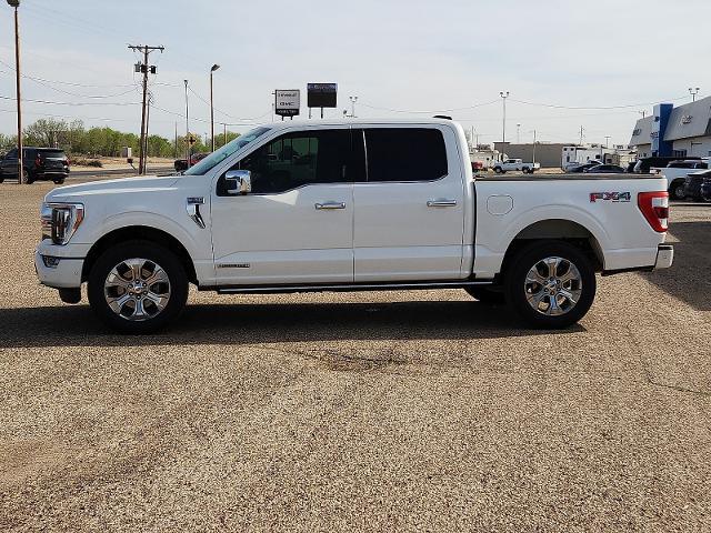 2021 Ford F-150 Platinum