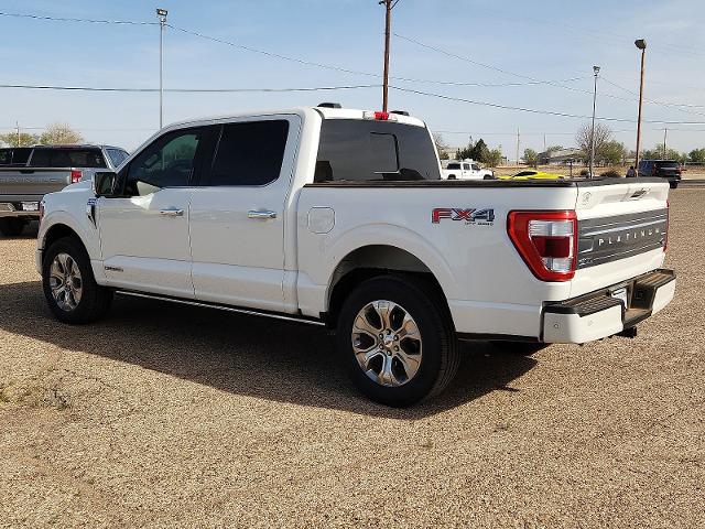 2021 Ford F-150 Platinum