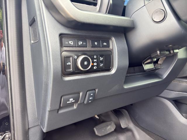 2024 Ford F-250 Platinum