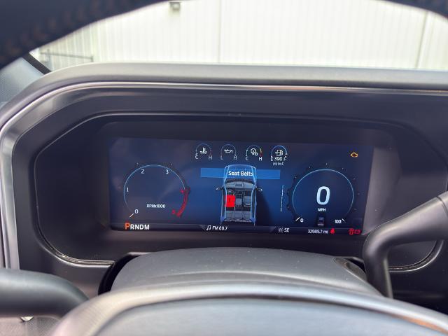 2024 Ford F-250 Platinum