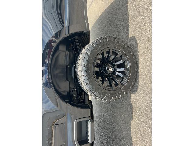 2024 Ford F-250 Platinum