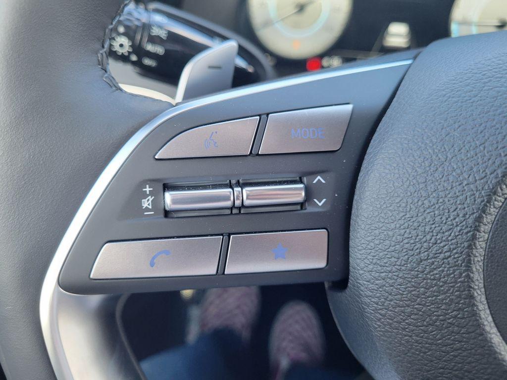 2025 Hyundai Palisade Calligraphy - Photo 18