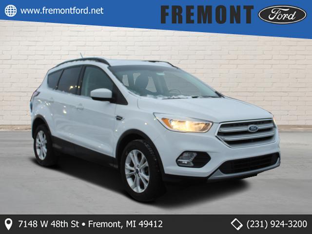 2018 Ford Escape SE for sale in Fremont, MI