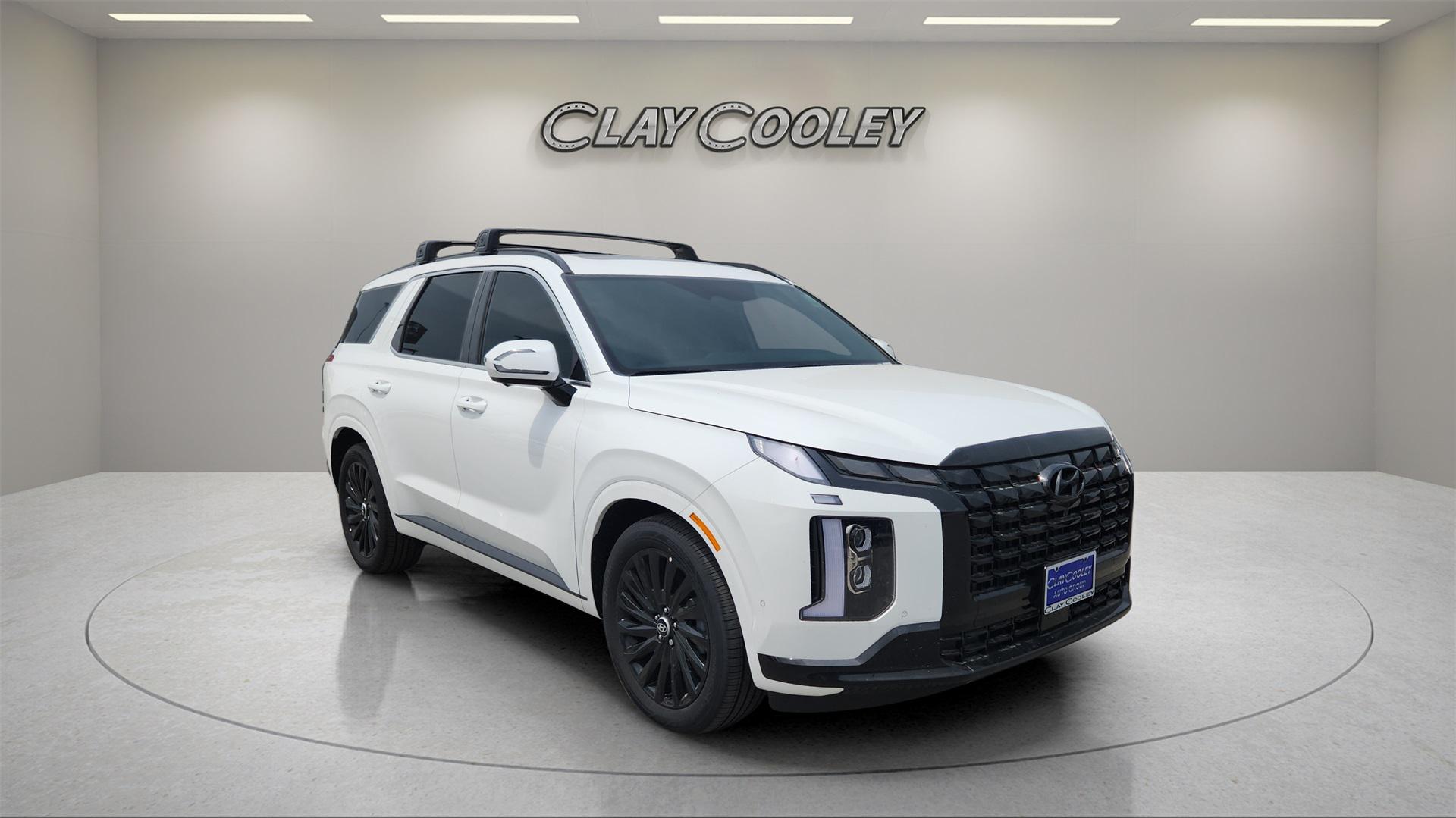 2025 Hyundai Palisade Calligraphy Night Edition