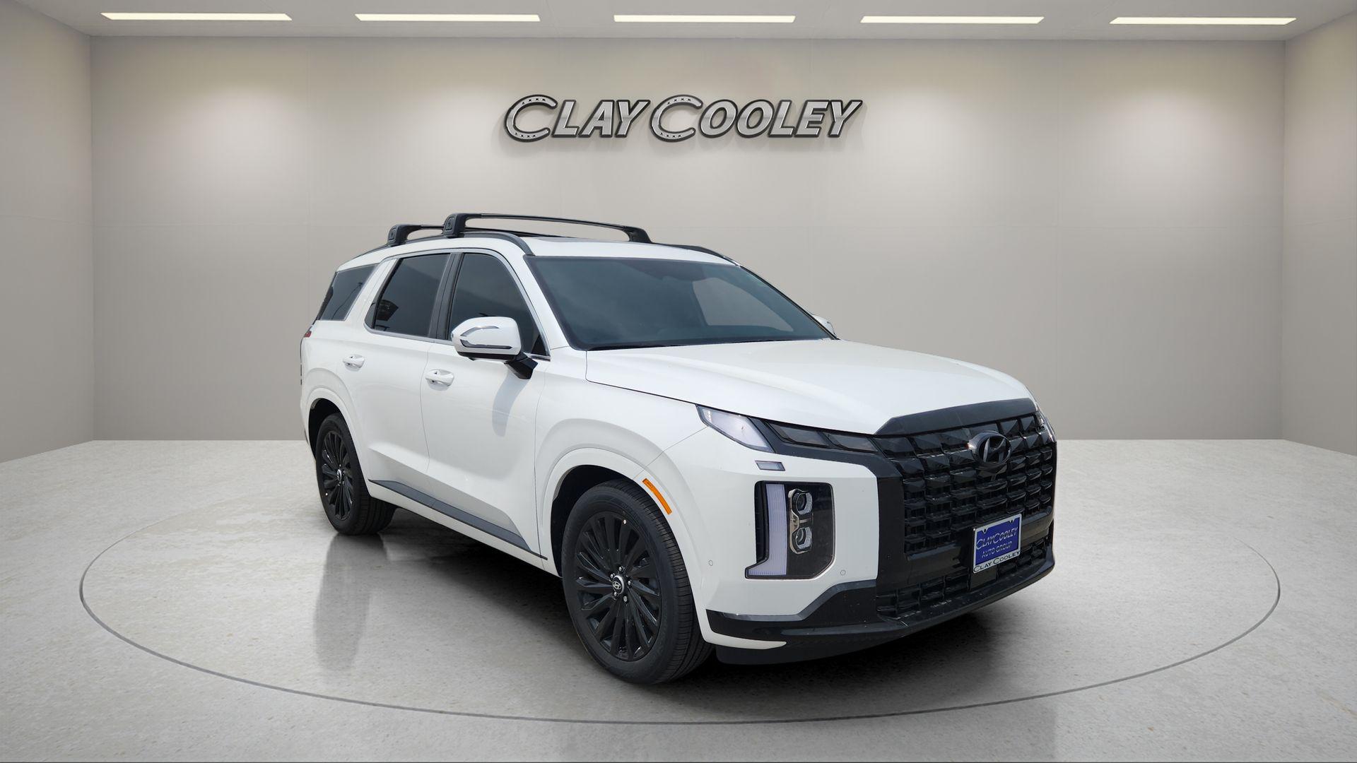2025 Hyundai Palisade Calligraphy Night Edition