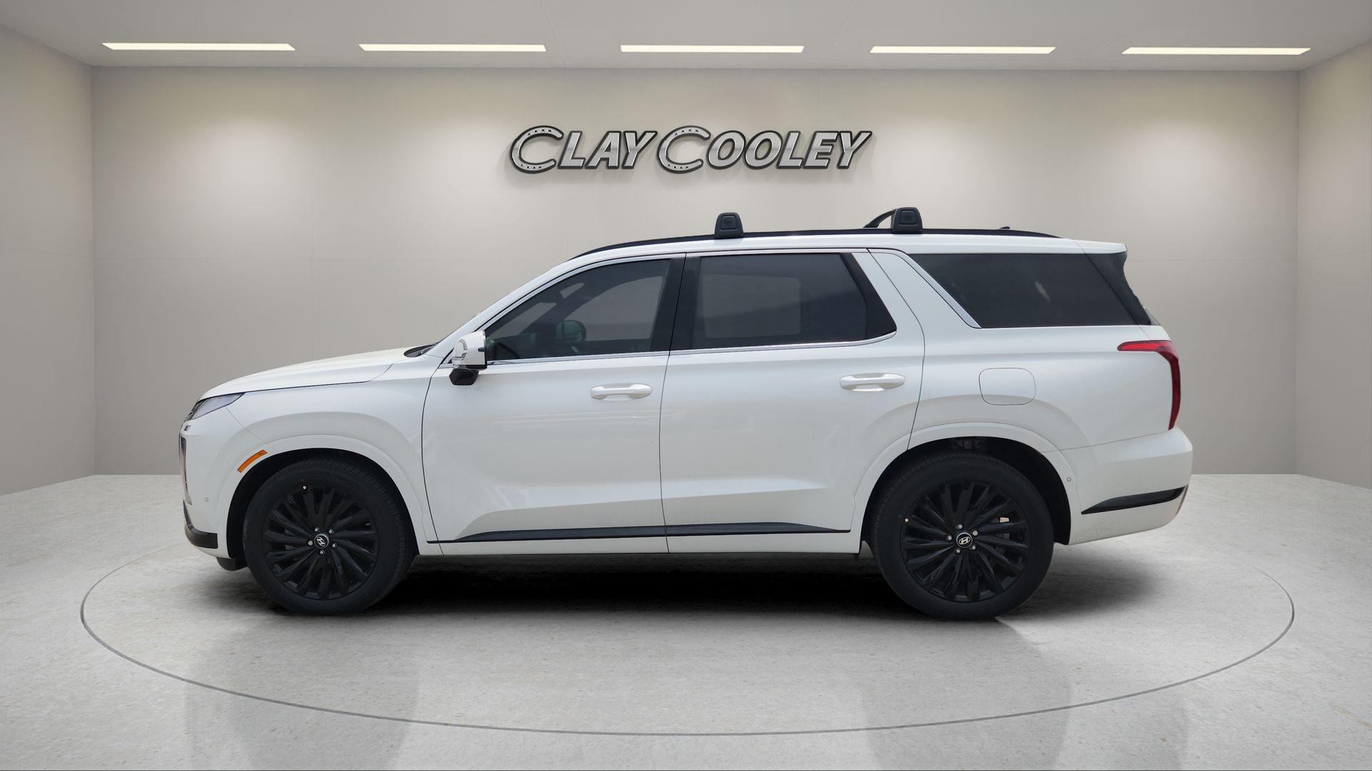 2025 Hyundai Palisade Calligraphy Night Edition - Photo 6