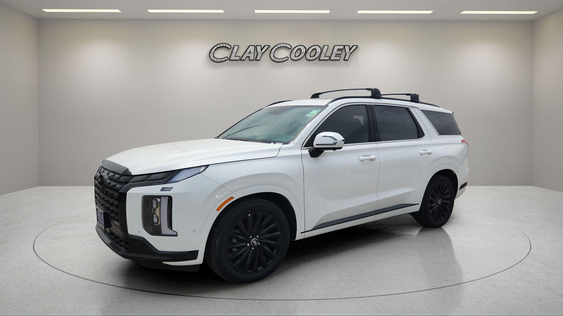 2025 Hyundai Palisade Calligraphy Night Edition - Photo 7