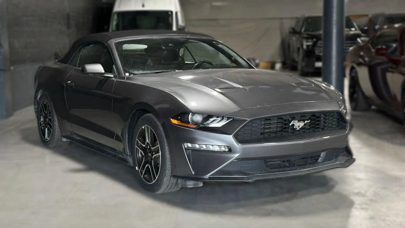 2022 Ford Mustang EcoBoost Premium Convertible for sale in Miami, FL