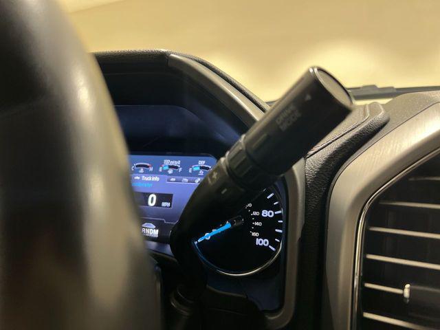 2021 Ford F-250 Platinum