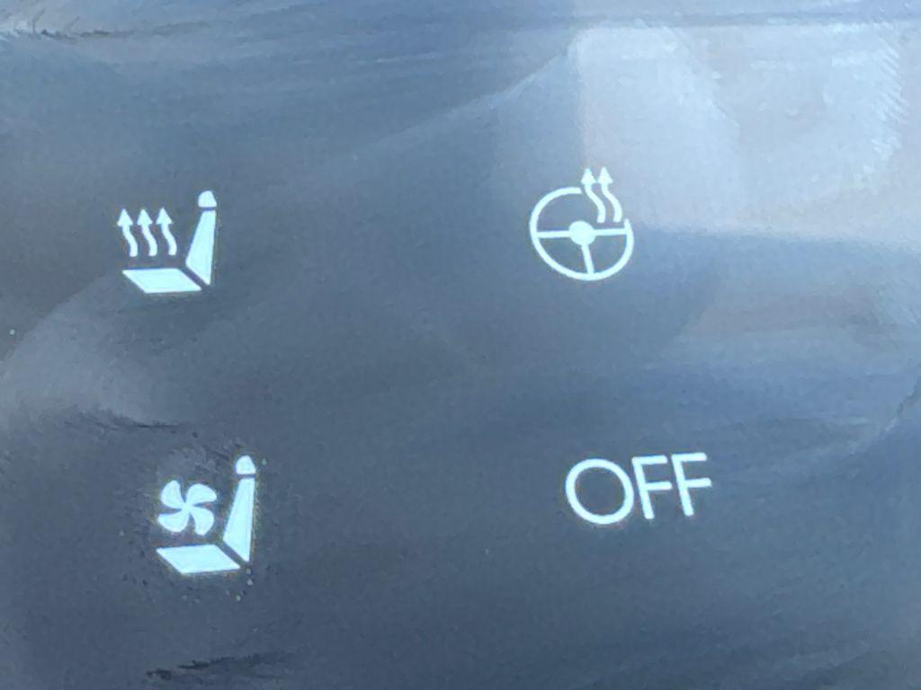 2025 Hyundai Santa Fe Calligraphy - Photo 31