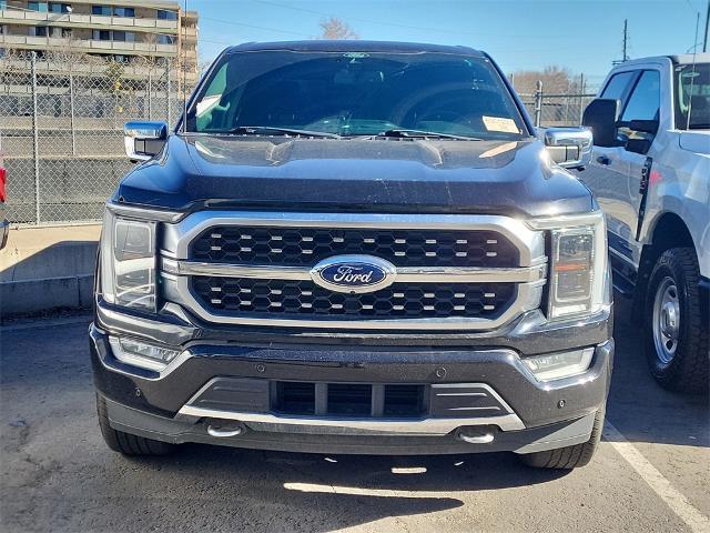 2022 Ford F-150 Platinum