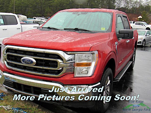 2023 Ford F-150 XLT for sale in Blue Ridge, GA