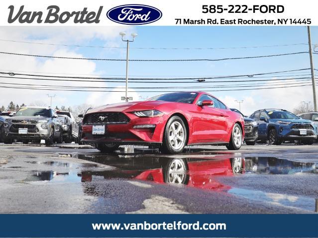 2020 Ford Mustang EcoBoost Fastback for sale in East Rochester, NY