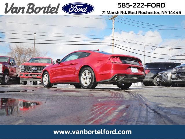 2020 Ford Mustang EcoBoost Fastback