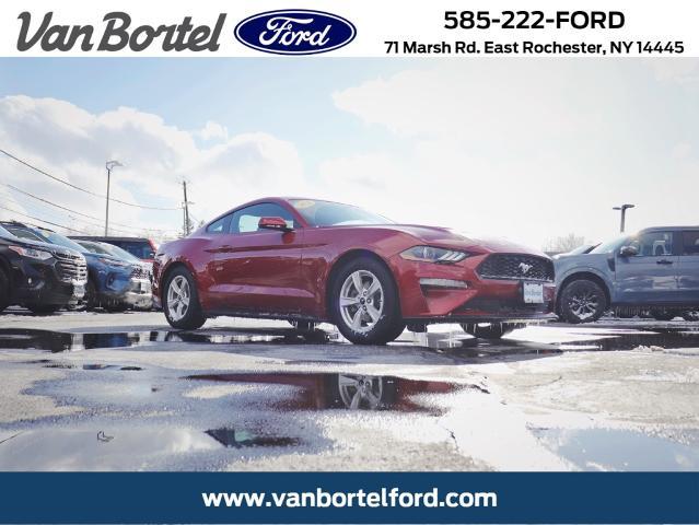 2020 Ford Mustang EcoBoost Fastback