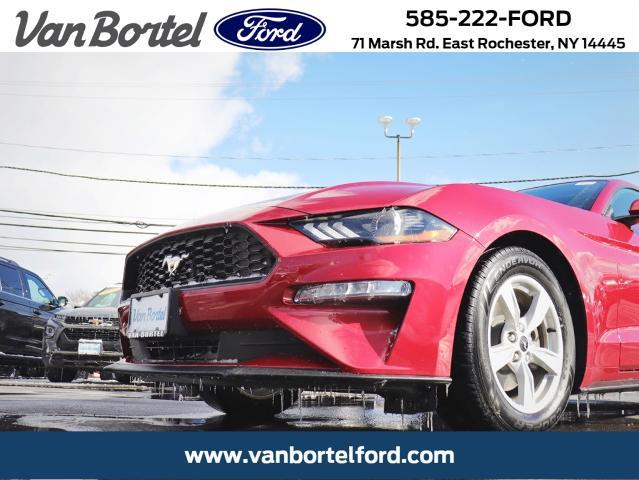2020 Ford Mustang EcoBoost Fastback