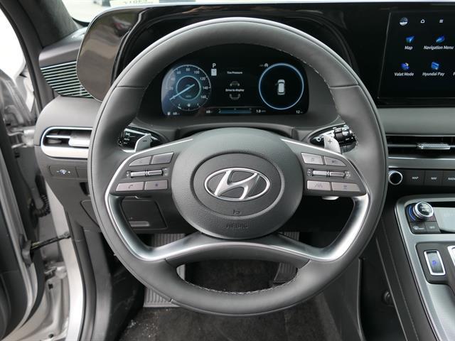 2025 Hyundai Palisade Calligraphy - Photo 17