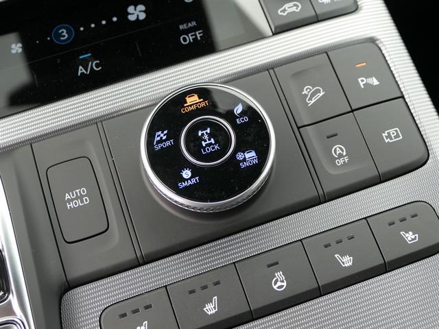 2025 Hyundai Palisade Calligraphy - Photo 22
