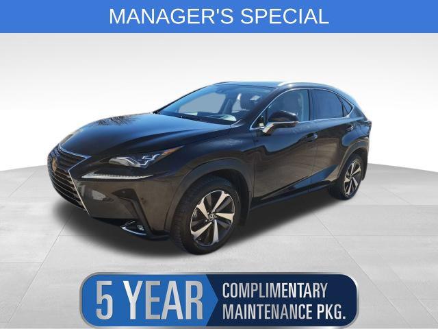 2020 Lexus NX 300 Luxury