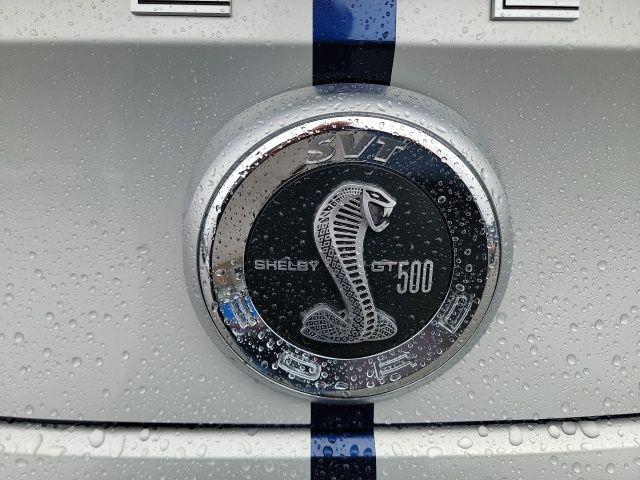 2010 Ford 500 Shelby GT500