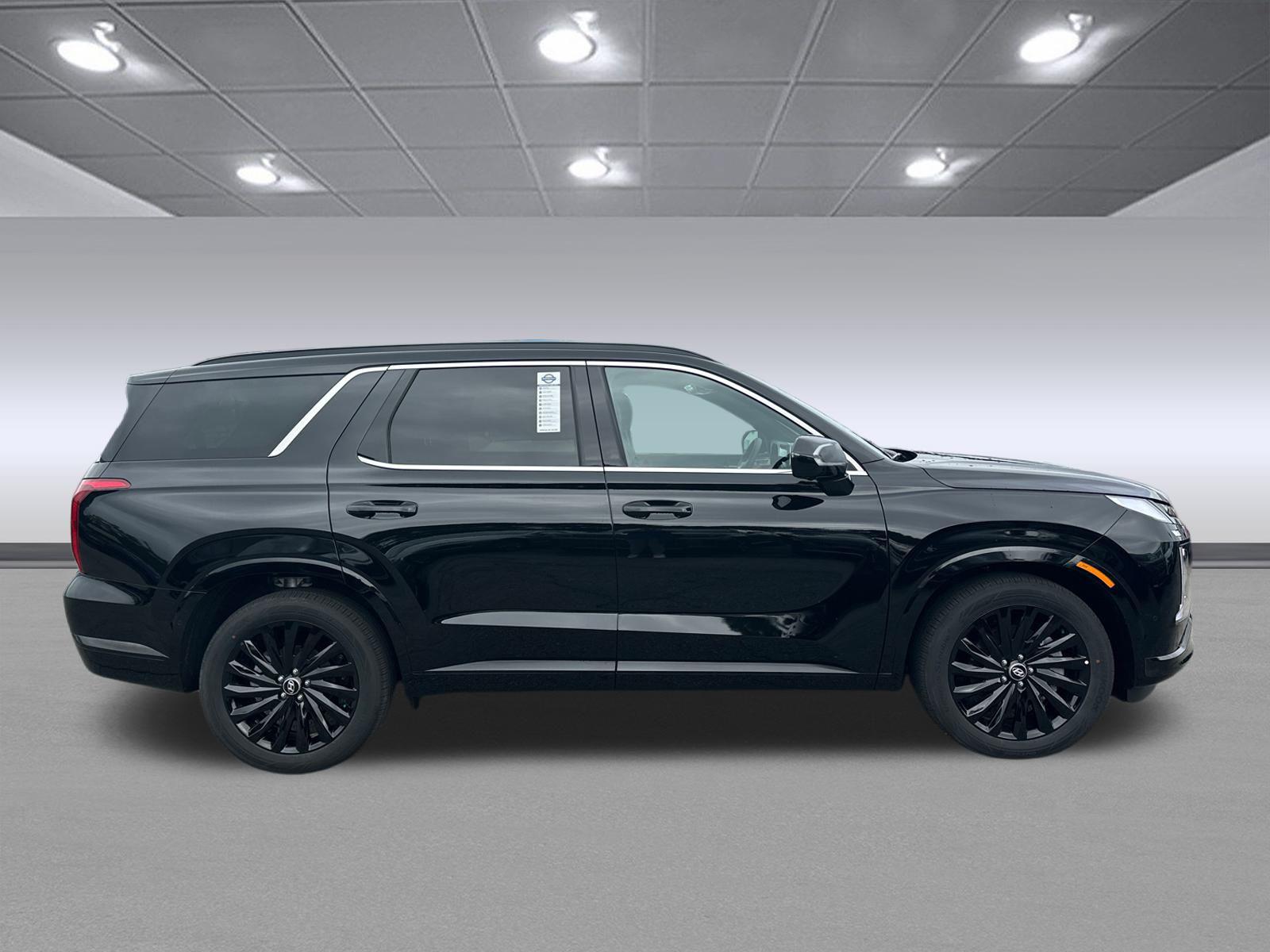 2025 Hyundai Palisade Calligraphy Night Edition - Photo 8