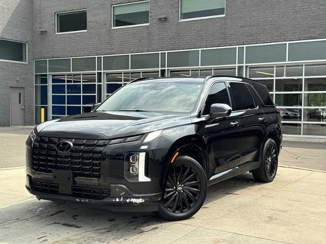 2024 Hyundai Palisade Calligraphy Night Edition for sale in Washington, MI