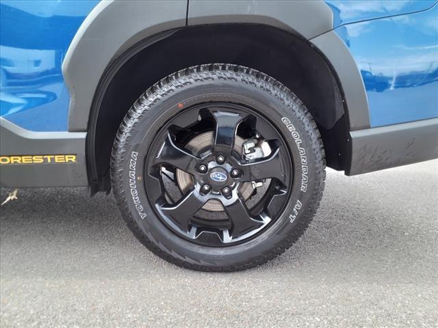 2024 Subaru Forester Wilderness 2024 Subaru Forester Wilderness