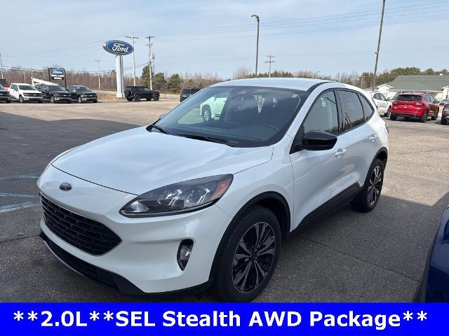 2022 Ford Escape SEL for sale in Ludington, MI