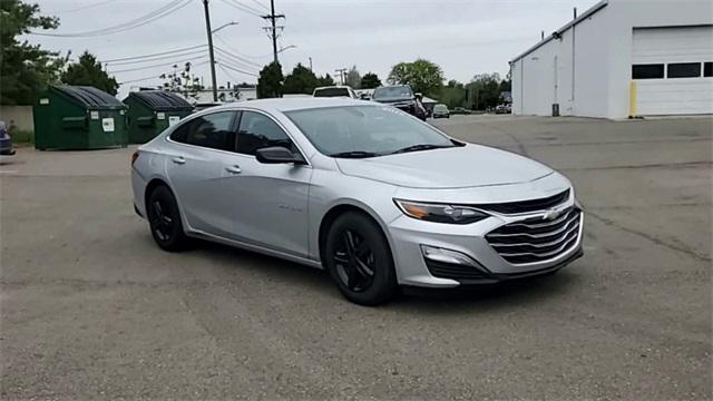 Used 2019 Chevrolet Malibu 1FL with VIN 1G1ZC5ST4KF117849 for sale in Waterford, MI