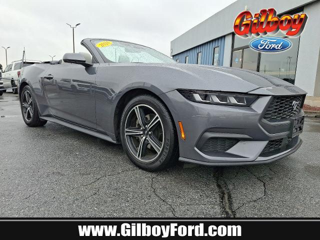 2024 Ford Mustang EcoBoost Premium Convertible for sale in Whitehall, PA