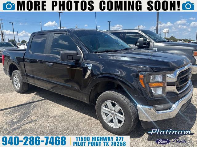 2023 Ford F-150 XLT for sale in Pilot Point, TX