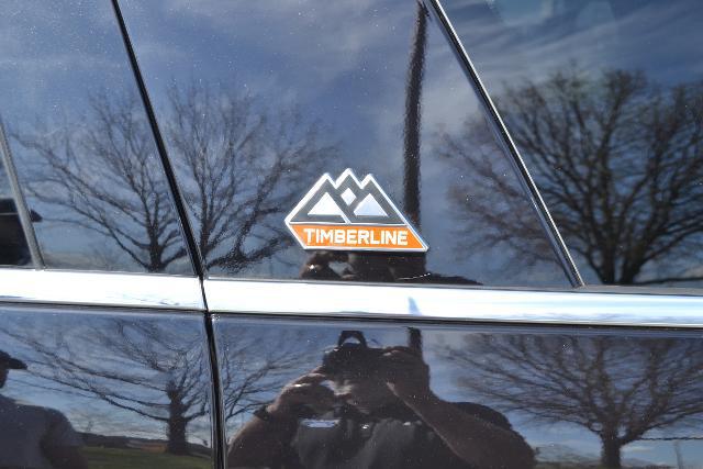2024 Ford Expedition Timberline