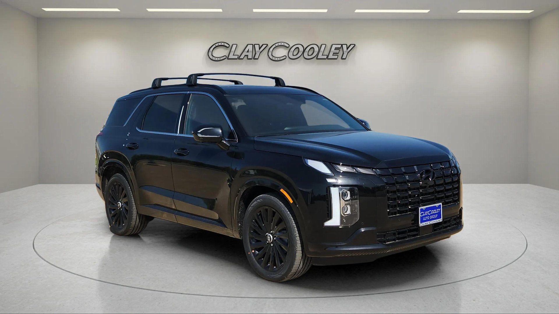 2025 Hyundai Palisade Calligraphy Night Edition - Photo 2