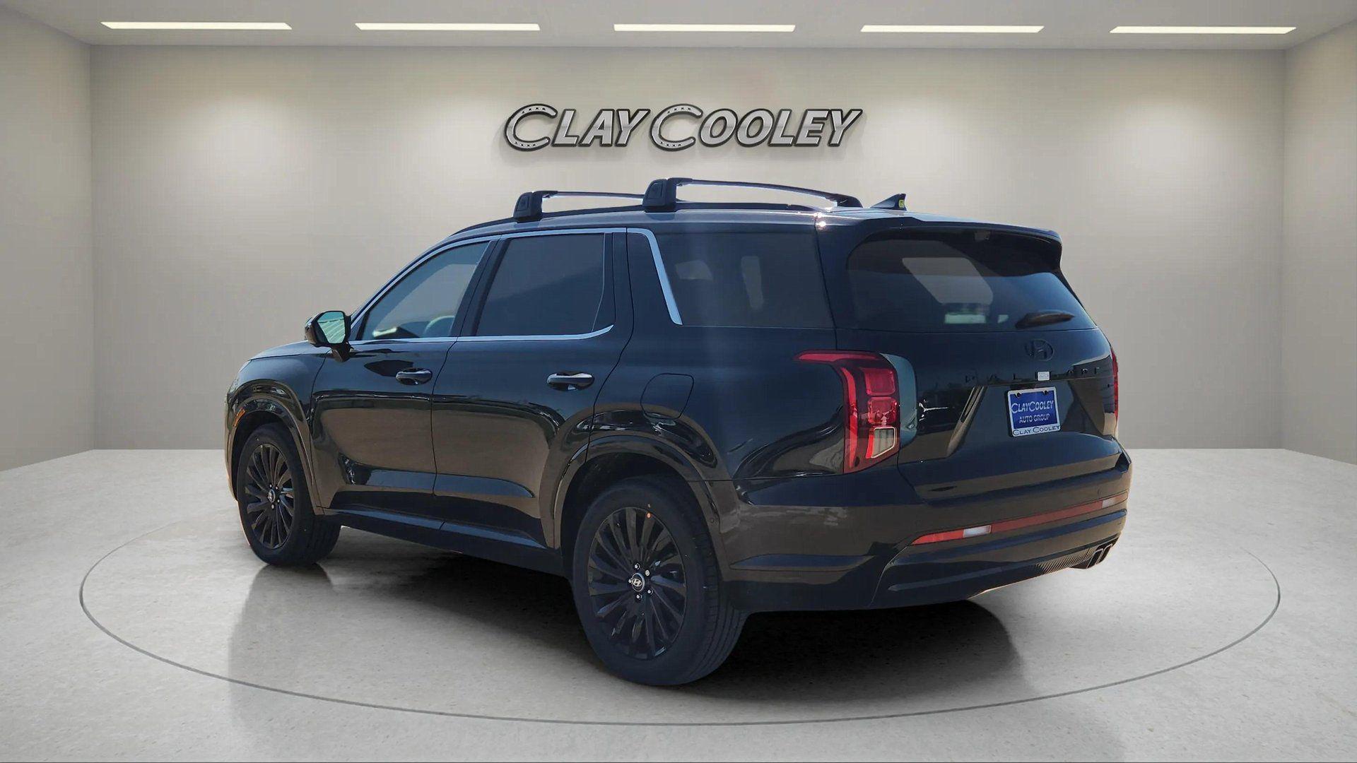 2025 Hyundai Palisade Calligraphy Night Edition - Photo 6