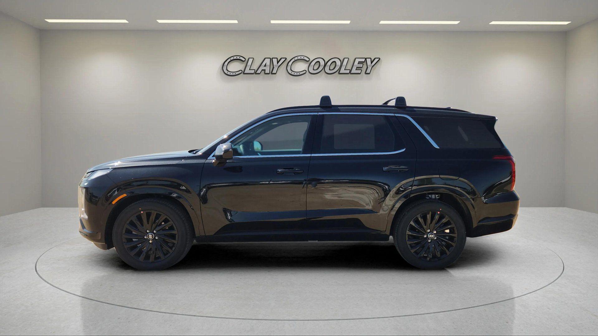 2025 Hyundai Palisade Calligraphy Night Edition - Photo 7