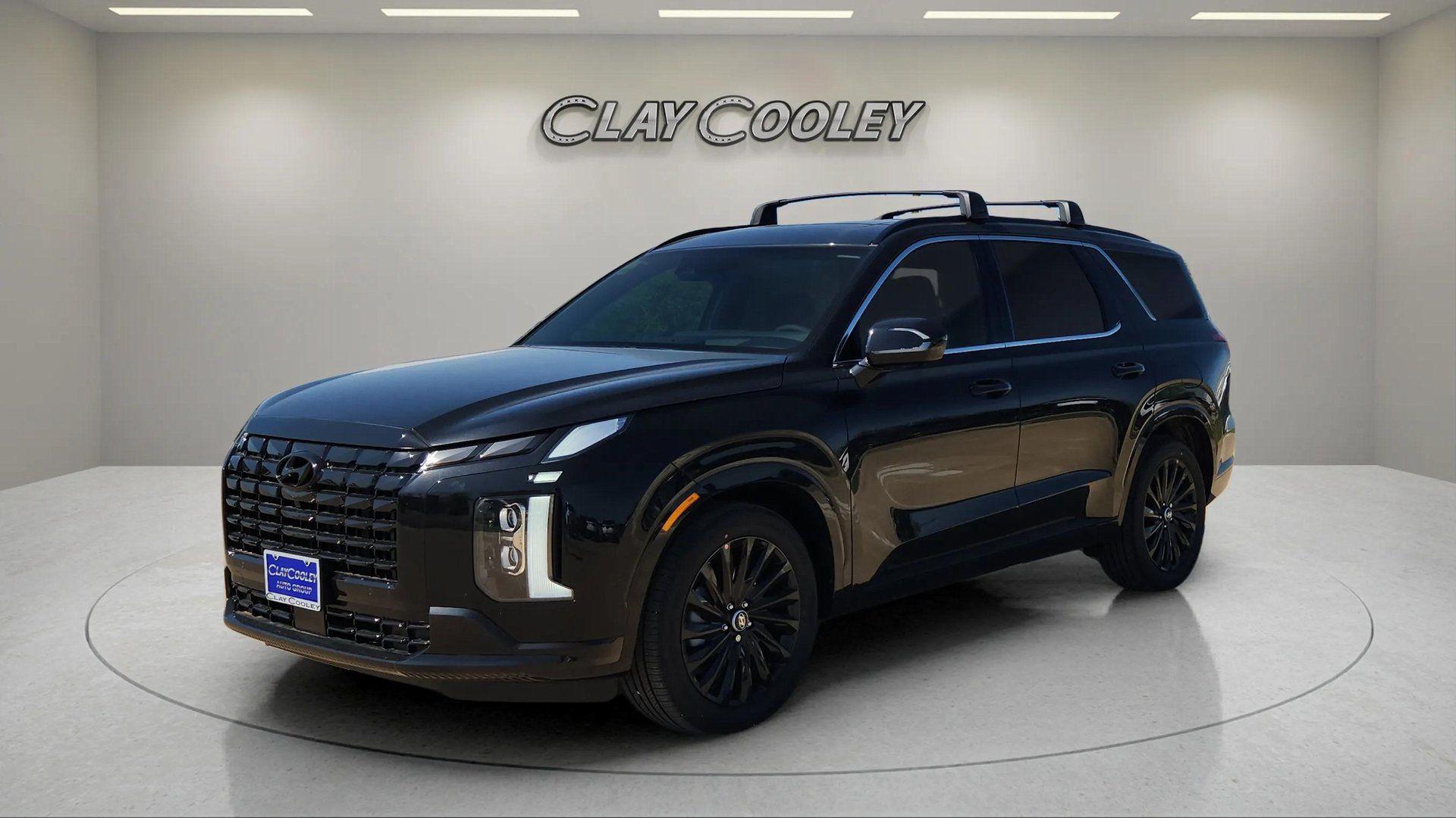 2025 Hyundai Palisade Calligraphy Night Edition - Photo 8