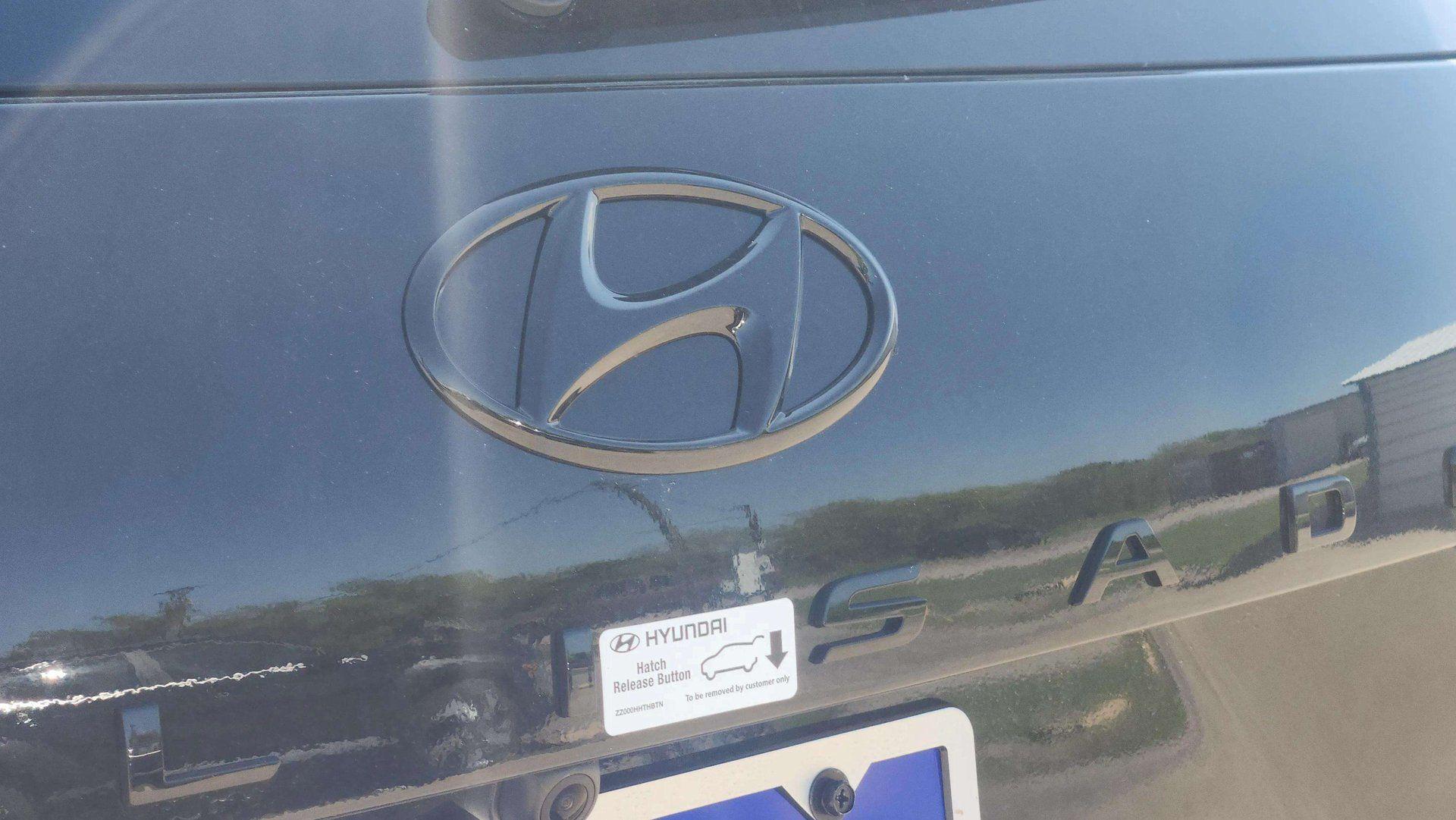 2025 Hyundai Palisade Calligraphy Night Edition - Photo 29