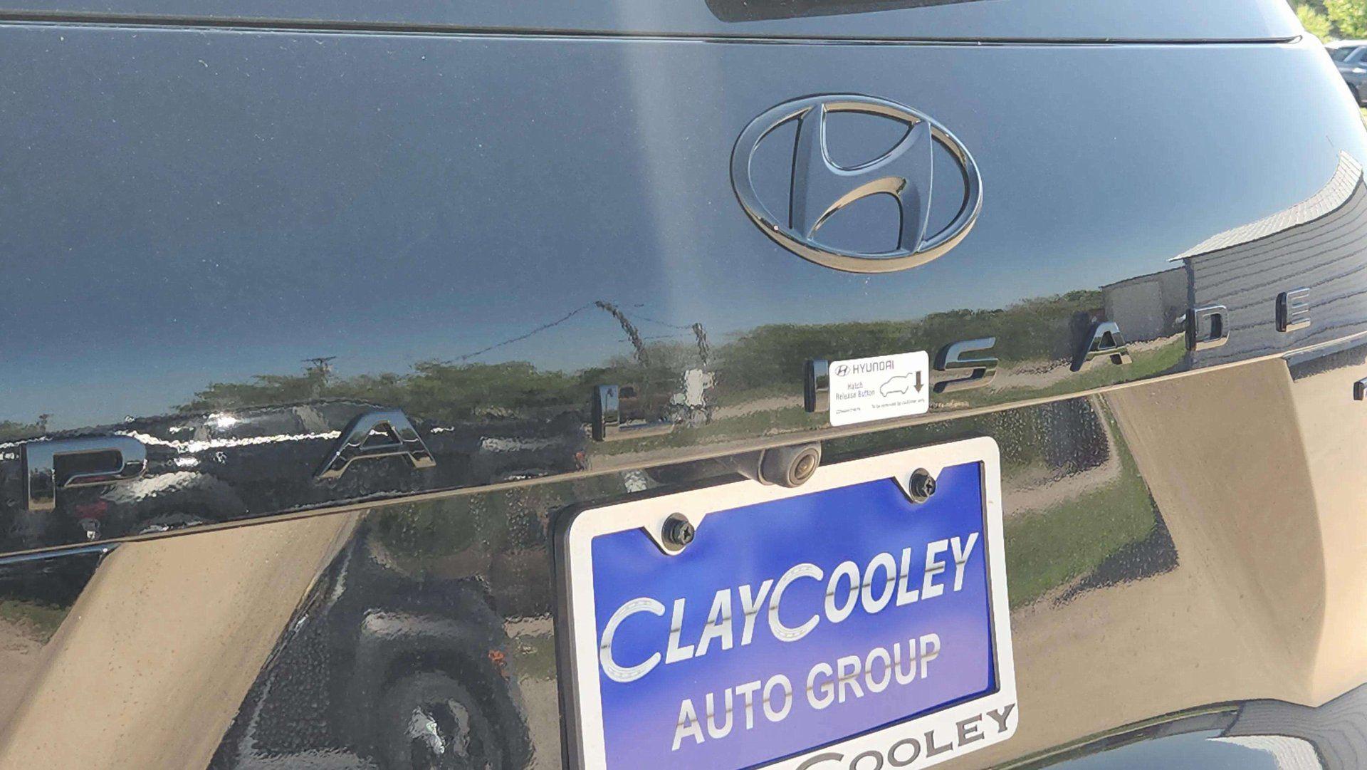 2025 Hyundai Palisade Calligraphy Night Edition - Photo 30