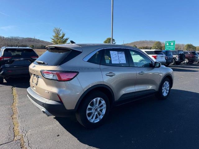 2021 Ford Escape SE Hybrid