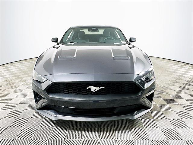Mustang EcoBoost