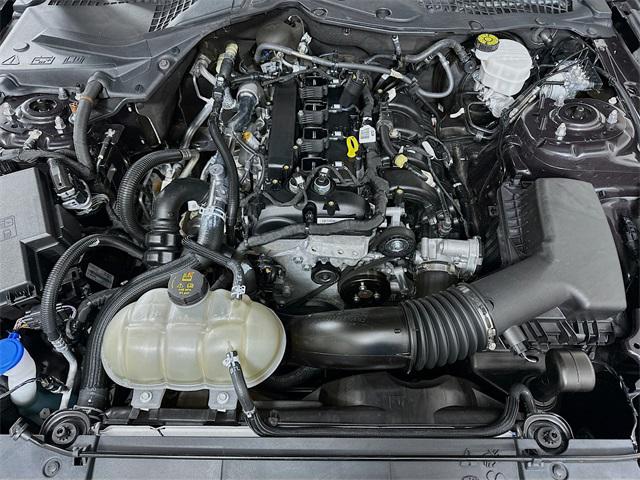 Mustang EcoBoost