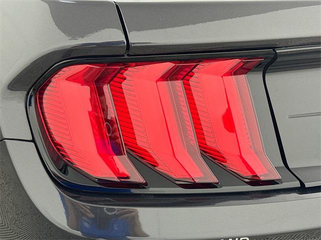 Mustang EcoBoost